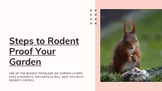 Steps to Rodent Proof Your Garden