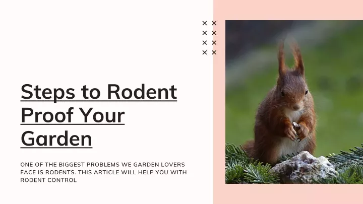 steps to rodent proof your garden