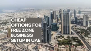 Cheap Options for Free Zone Business Setup in UAE
