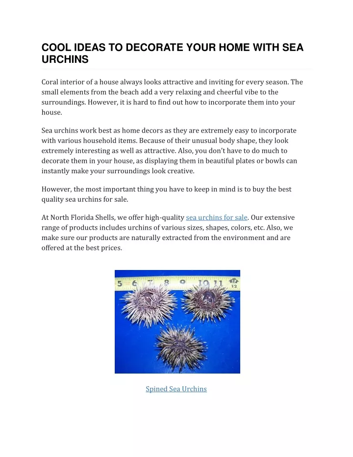 cool ideas to decorate your home with sea urchins