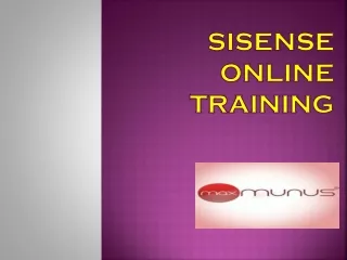 sisense online training