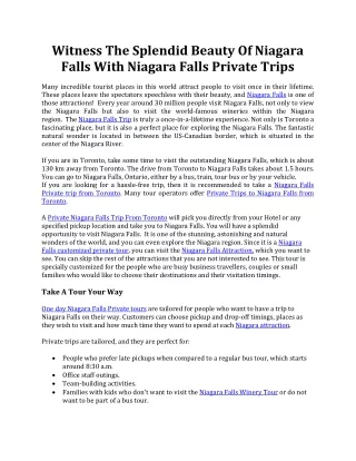 Niagara Falls Private Trips With NiagaraTrips