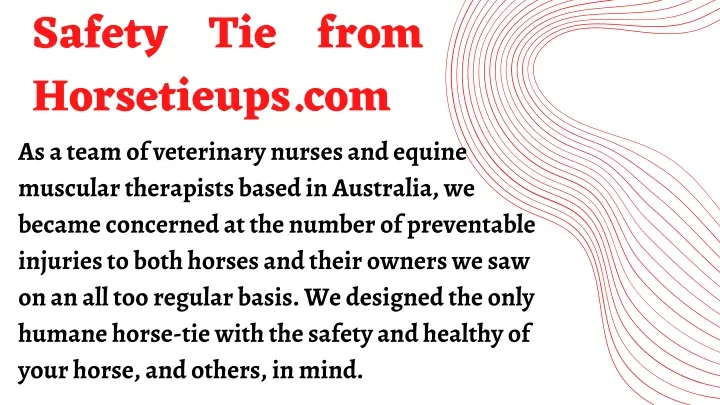 safety tie from horsetieups com as a team