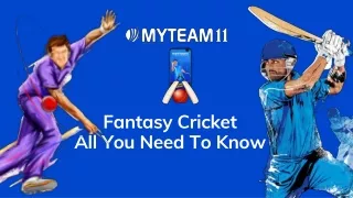 Fantasy Cricket:All you need to know