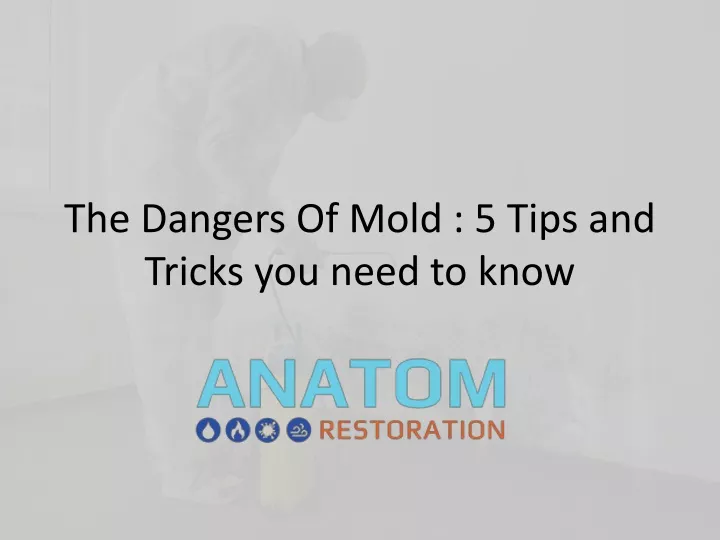 the dangers of mold 5 tips and tricks you need to know