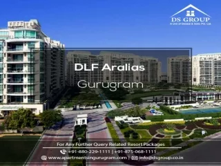 DLF Aralias Golf Course Road, Gurgaon | 4 BHK Apartment in DLF Aralias for Rent