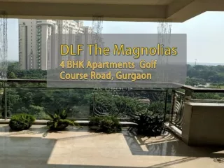 DLF Magnolias Golf Course Road, Gurgaon | 4 BHK Apartment in DLF Magnolias for Rent