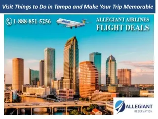 visit things to do in tampa and make your trip memorable