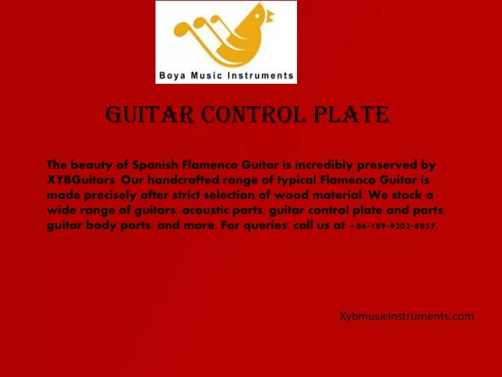 guitar control plate