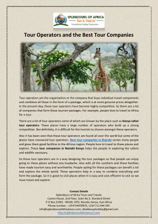 Tour Operators and the Best Tour Companies