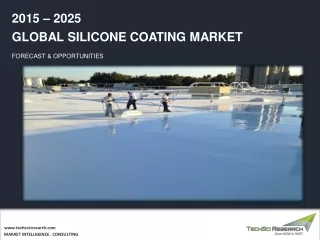 Silicone Coating Market Share, 2025
