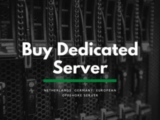 Best Netherlands Server
