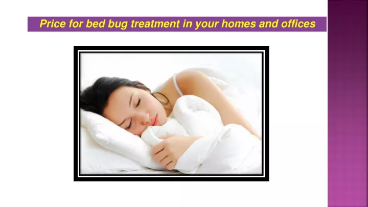 price for bed bug treatment in your homes