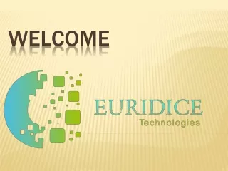 Best Digital Marketing, Web Development Company in Noida | Euridice Technologies Pvt. Ltd.