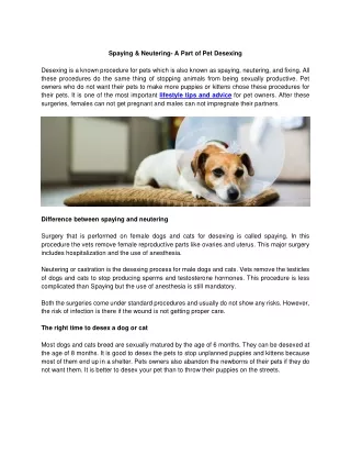 Spaying & Neutering- A Part of Pet Desexing