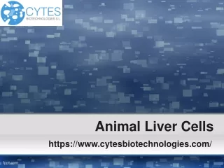 Animal Liver Cells