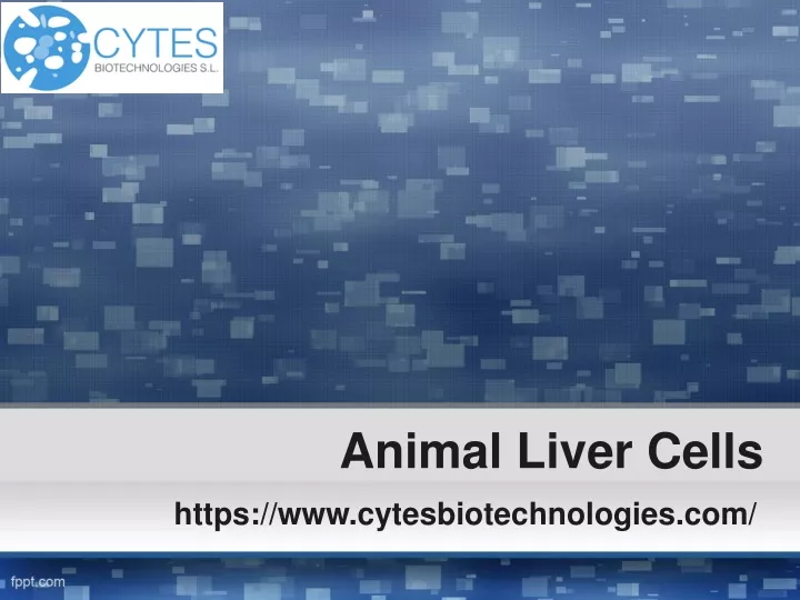 animal liver cells
