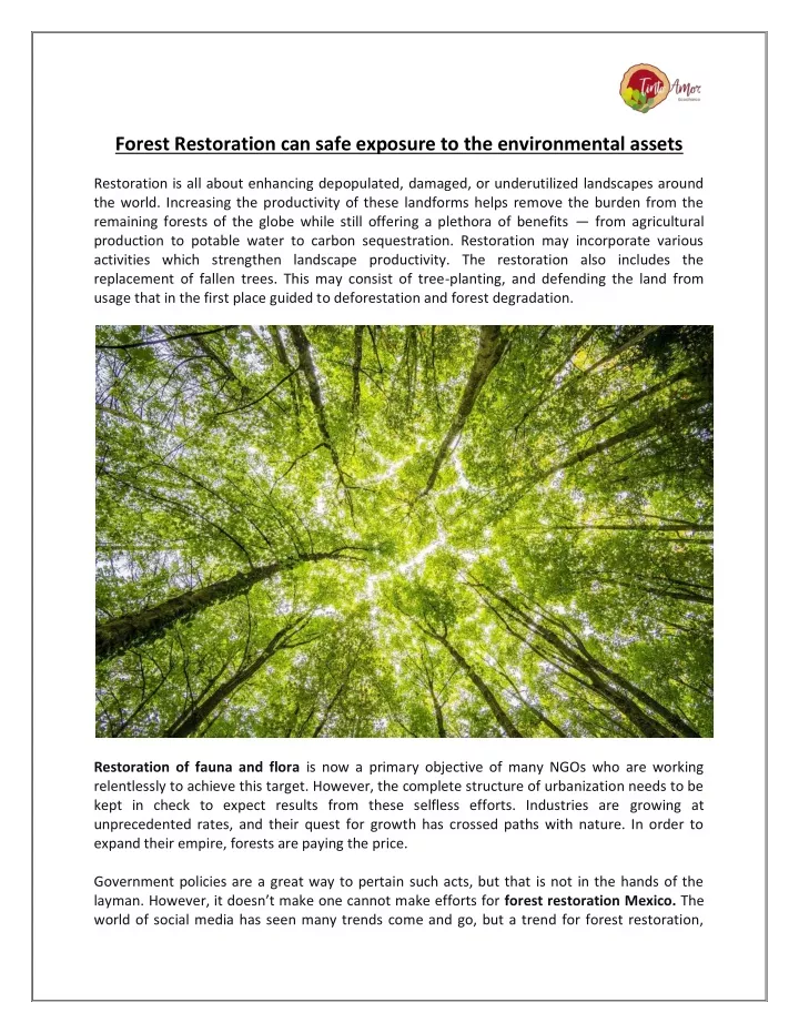 forest restoration can safe exposure