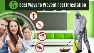 5 Best Ways To Prevent Pest Infestation