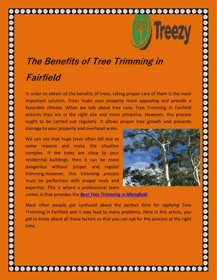 the benefits of tree trimming in