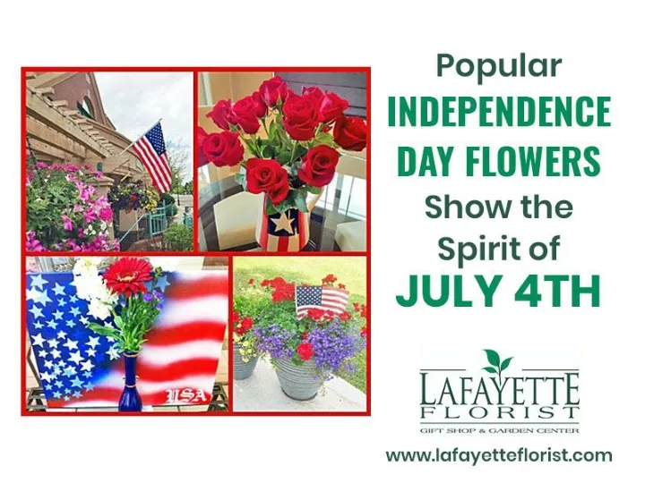 popular independence day flowers exude the spirit