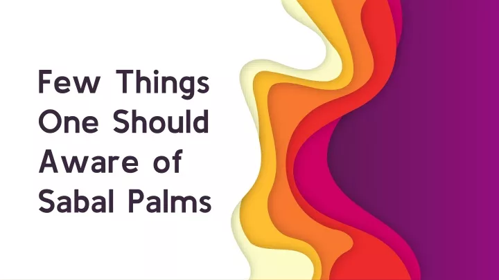 few things one should aware of sabal palms
