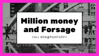 Developing MLM Software copy of million money and forsage