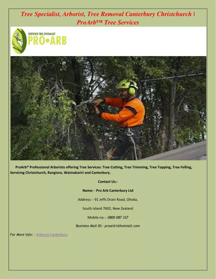 tree specialist arborist tree removal canterbury