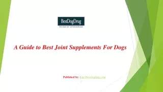 A Guide to Best joint supplements for dogs