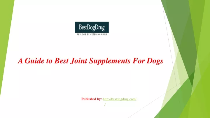 a guide to best joint supplements for dogs