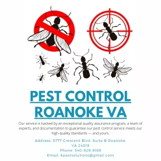 Pest Control Roanoke VA | Killinger Pest Solutions