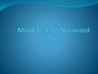 mold testing norwood