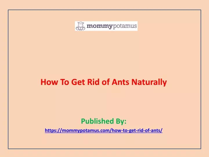 how to get rid of ants naturally published by https mommypotamus com how to get rid of ants