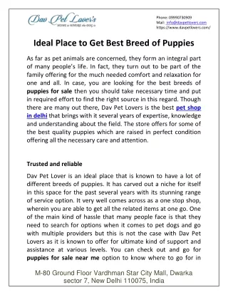 phone 09990730909 mail info@davpetlovers