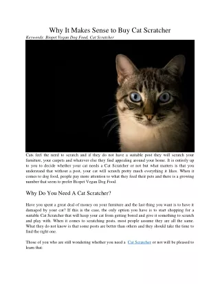 why it makes sense to buy cat scratcher keywords