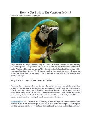 how to get birds to eat vetafarm pellets keywords