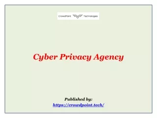 Cyber Privacy Agency