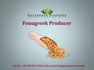 Fenugreek Producer