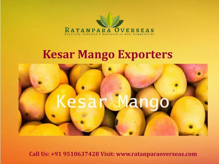 kesar mango exporters