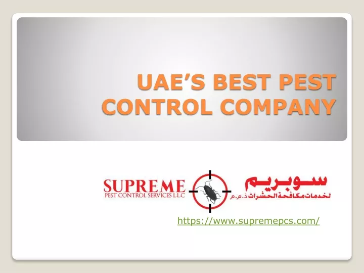 uae s best pest control company