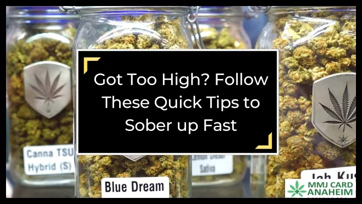 got too high follow these quick tips to sober