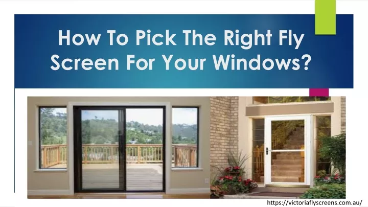 how to pick the right fly screen for your windows