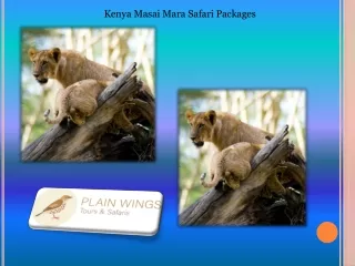 kenya masai mara safari packages