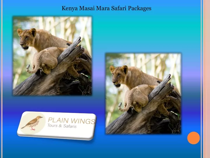 kenya masai mara safari packages