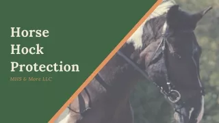 Horse Hock Protection Online at MHS & More LLC