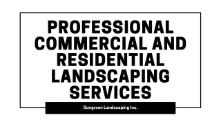 Professional Commercial and Residential Landscaping Services