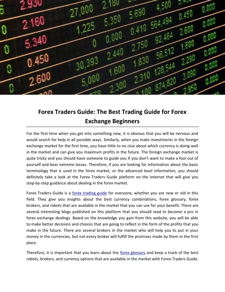 forex traders guide the best trading guide