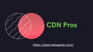 CDN Pros