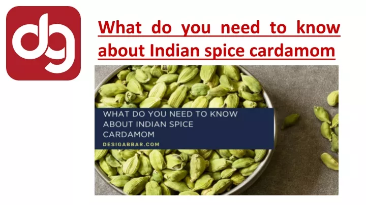 what do you need to know about indian spice