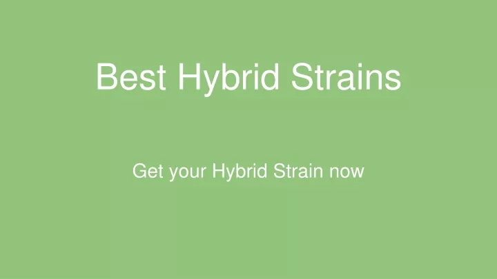 best hybrid strains